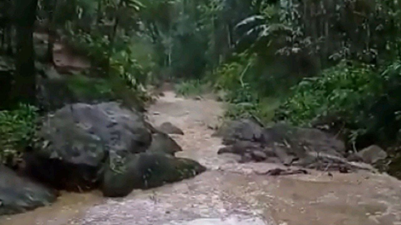 Photo of Outdoor in Pacoti