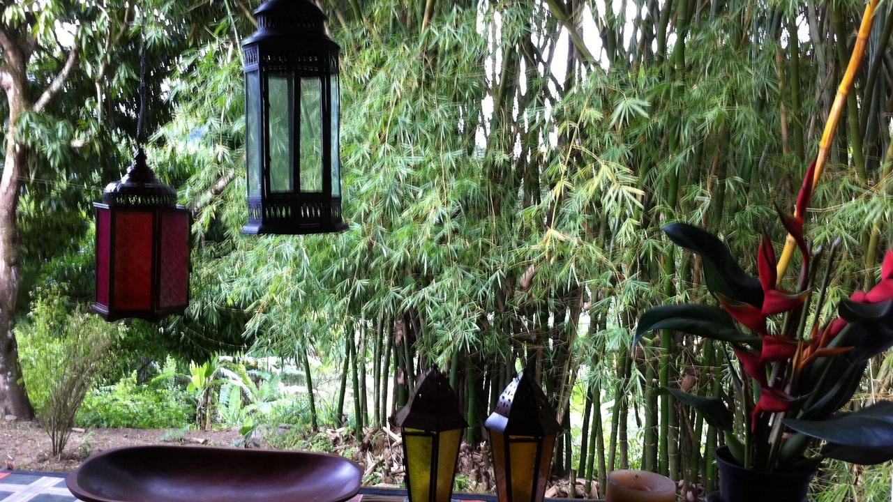 Photo of Outdoor in Pacoti