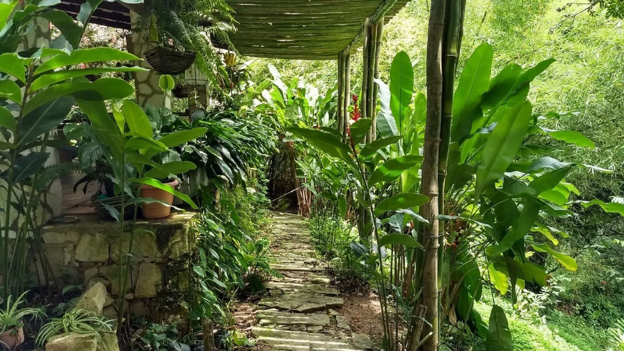 Photo of Outdoor in Pacoti