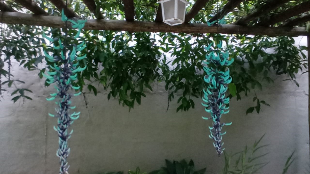 Photo of Outdoor in Ipiranga