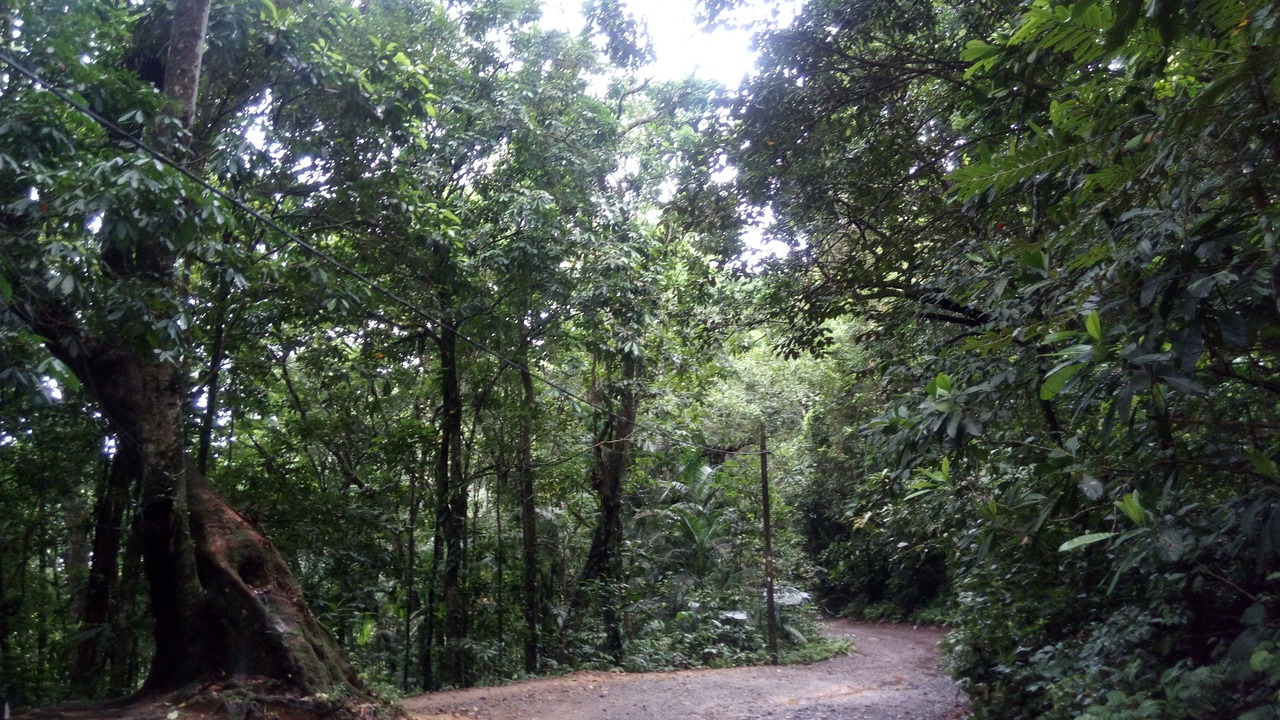 Photo of Outdoor in Quinta do Guarau