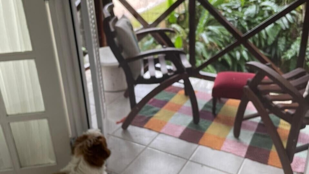 Photo of Others in Barra do Una
