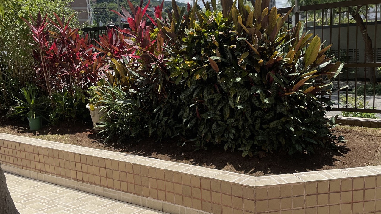 Photo of Outdoor in Enseada