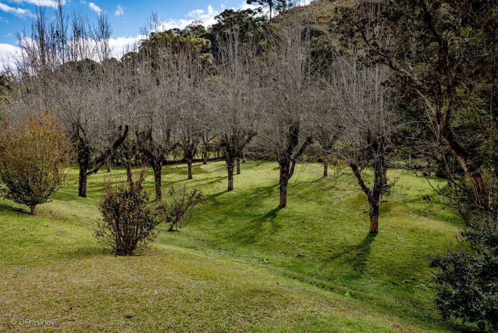 Photo of Outdoor in Jardim Andira