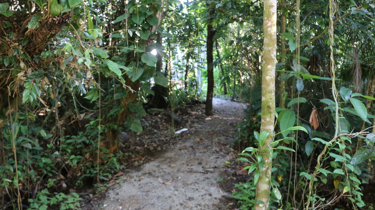 Photo of Outdoor in Riviera de Sao Lourenco