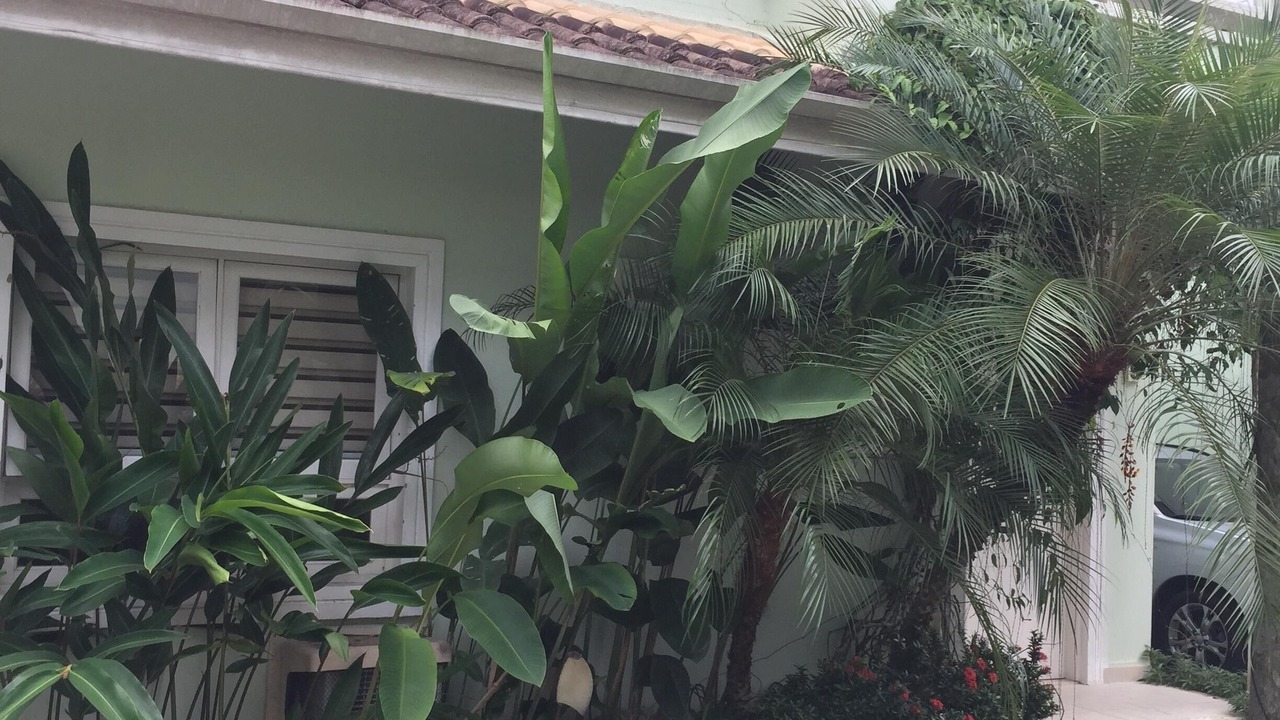 Photo of Outdoor in Juquehy