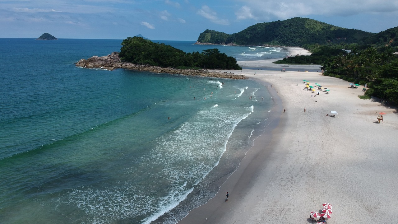 Photo of Others in Camburi