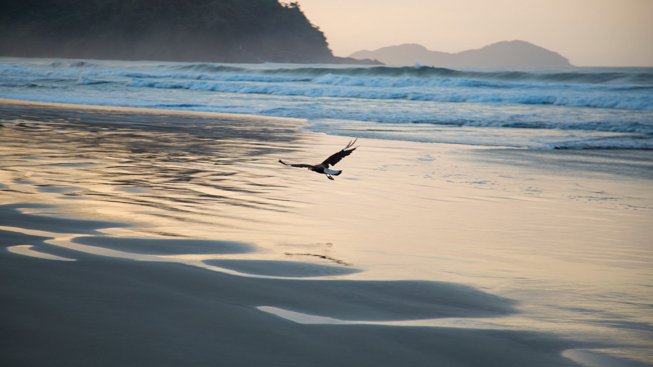Photo of Others in Barra do Una