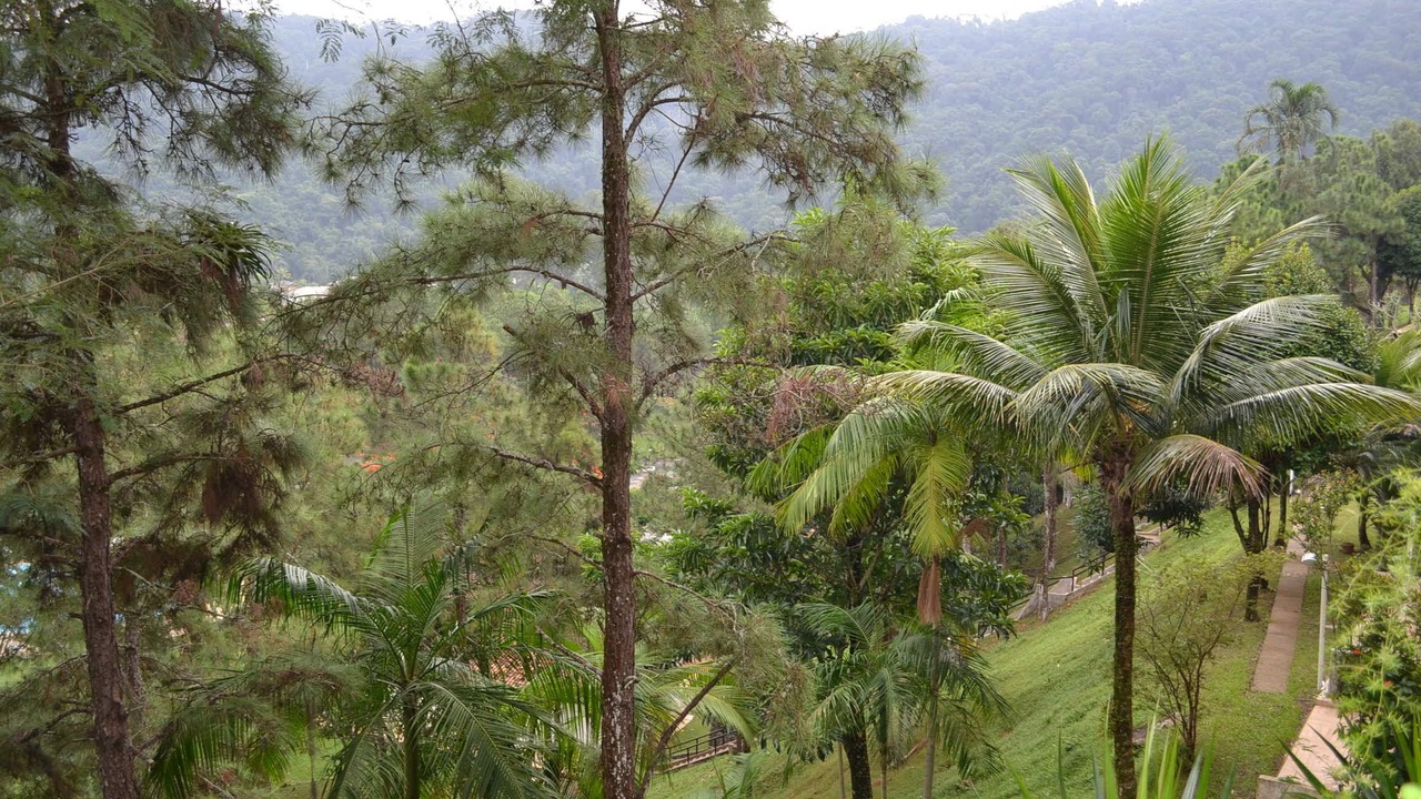 Photo of Outdoor in Balneario Cidade Atlantica