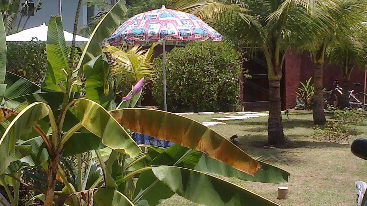 Photo of Outdoor in Jardim Capricornio