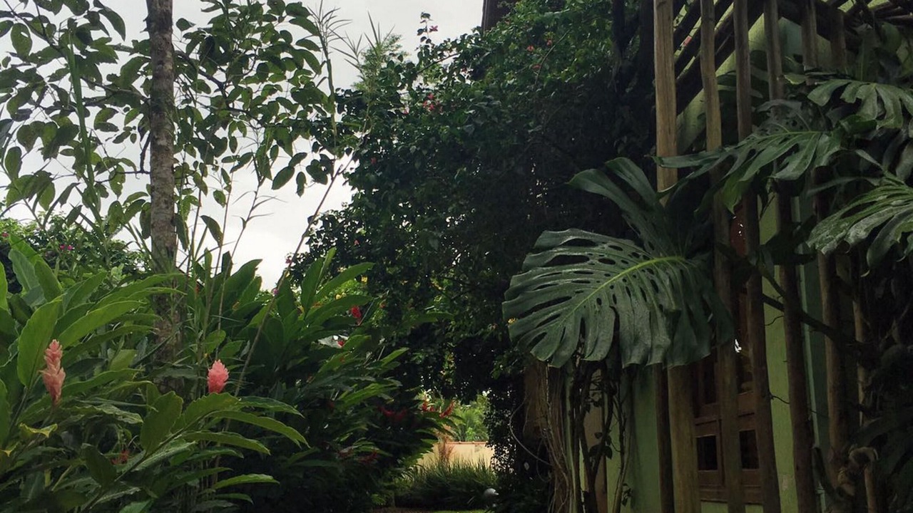 Photo of Outdoor in Parque Imperial