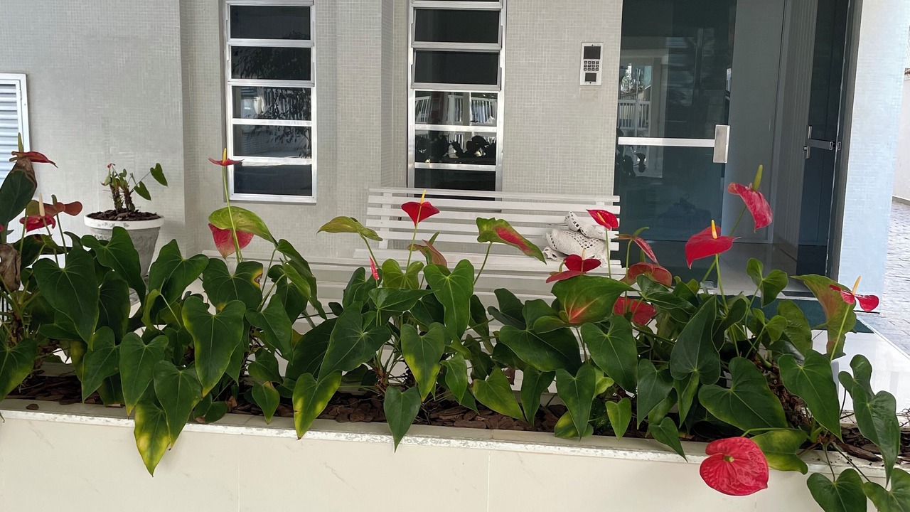 Photo of Outdoor in Jardim Belmar