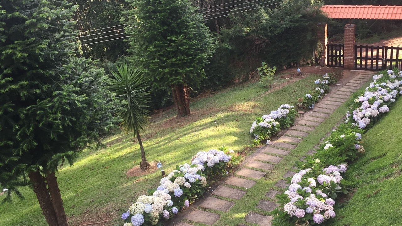 Photo of Outdoor in Monte Verde