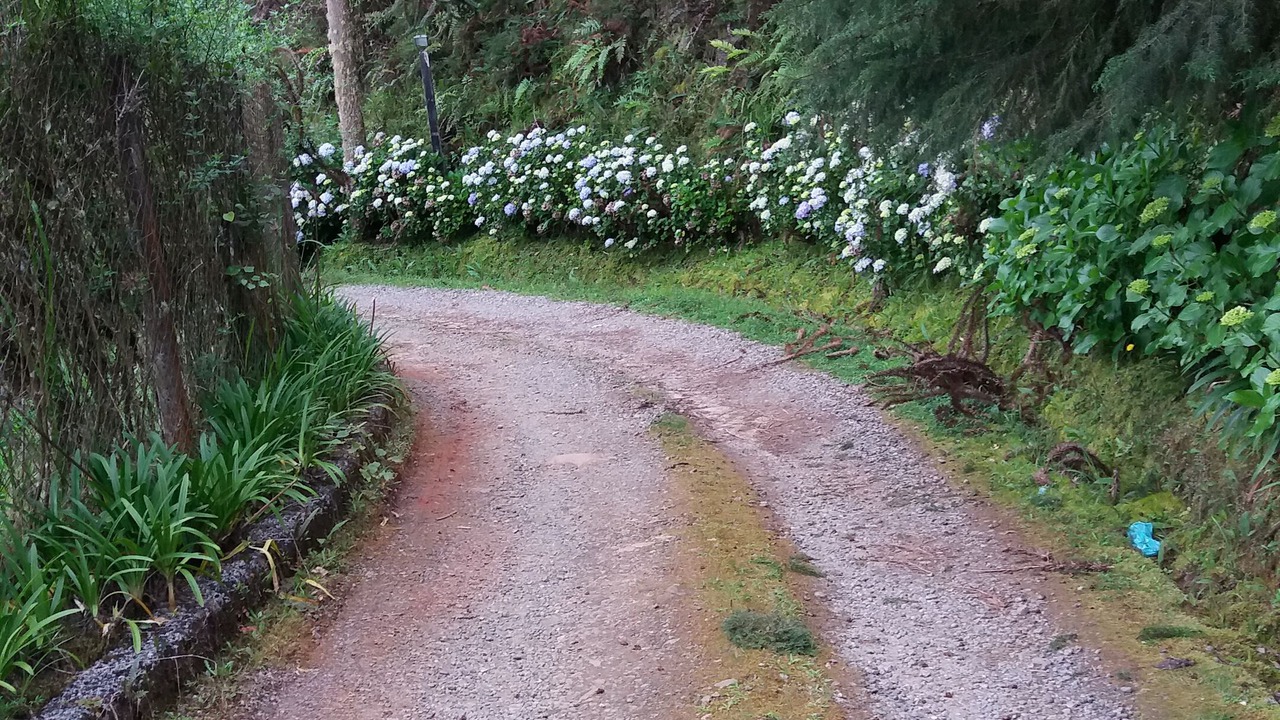 Photo of Outdoor in Vila Britania