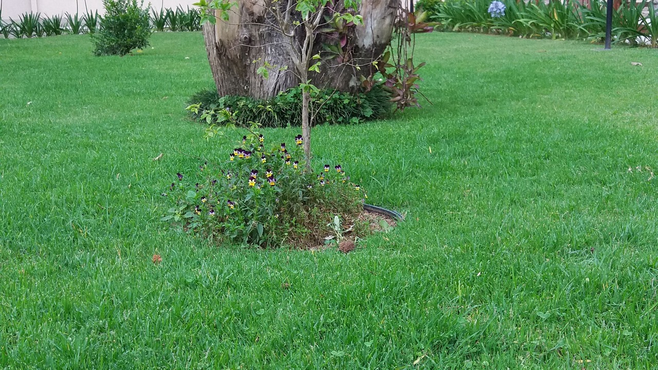 Photo of Outdoor in Vila Britania