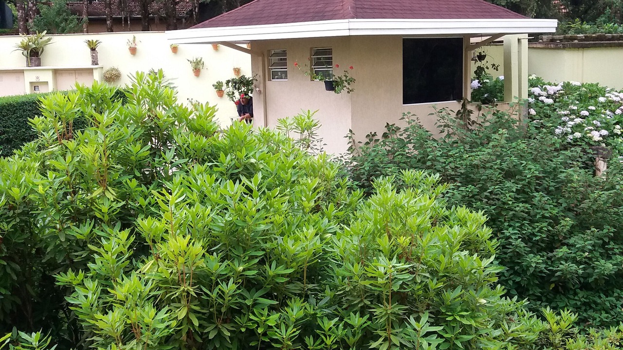 Photo of Outdoor in Vila Britania