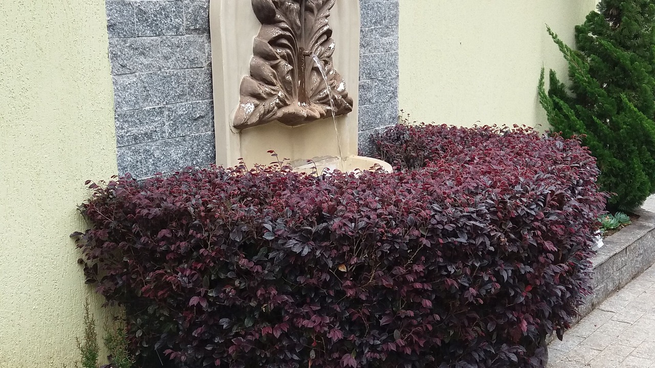 Photo of Outdoor in Vila Britania