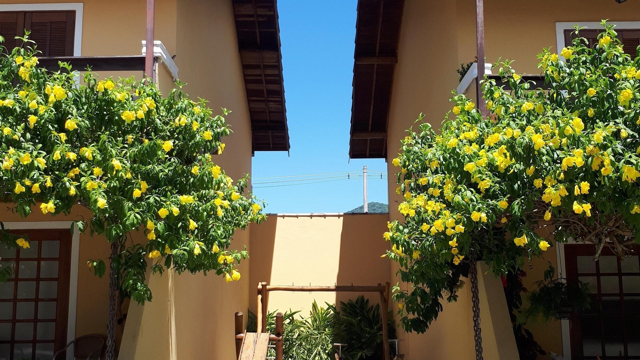 Photo of Outdoor in Juquehy