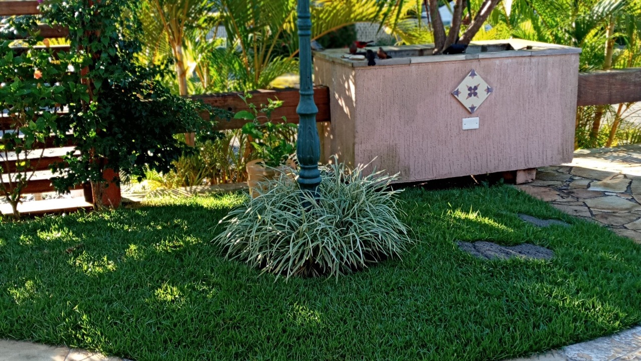 Photo of Outdoor in Morada da Praia