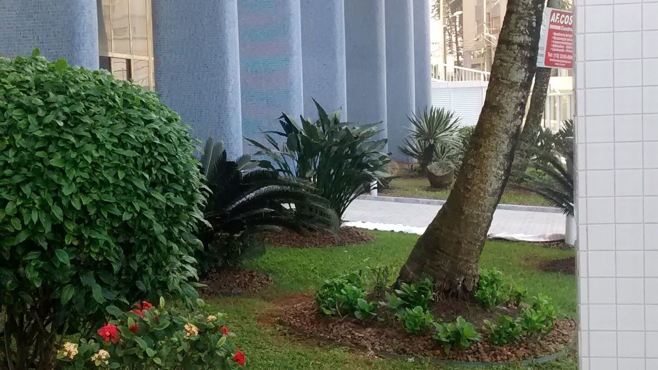 Photo of Outdoor in Pitangueiras