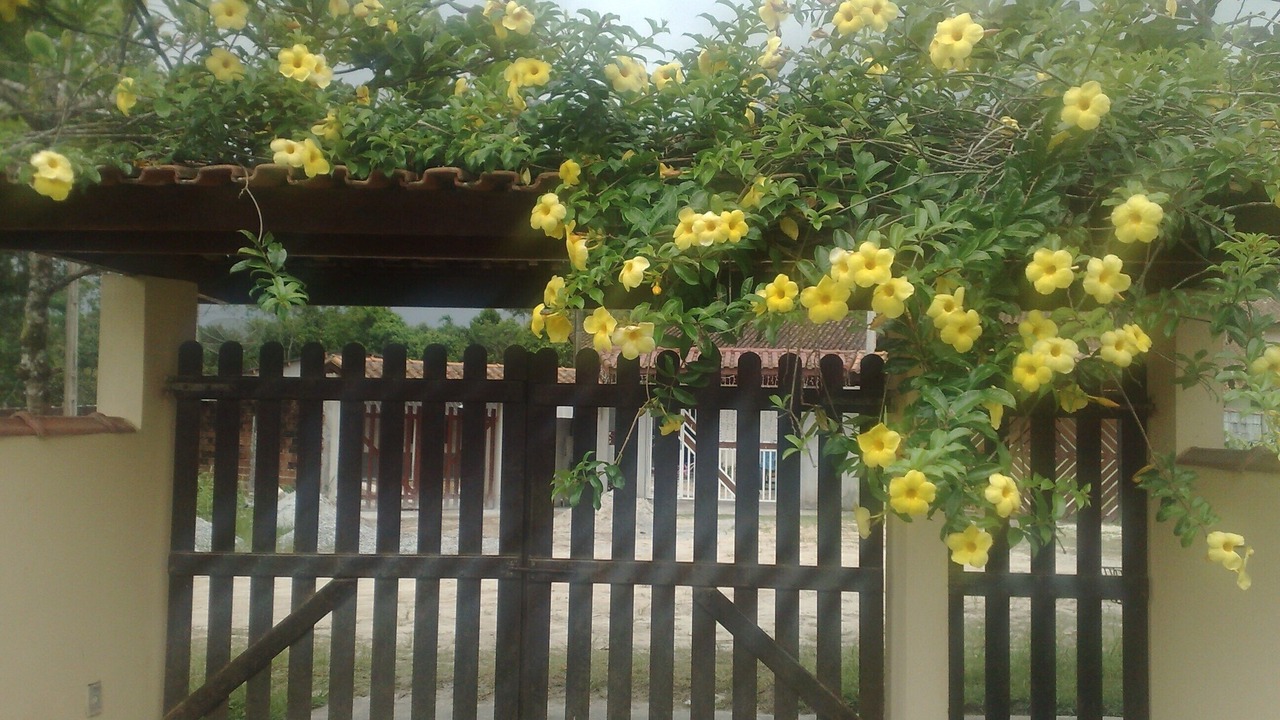 Photo of Outdoor in Guarutuba
