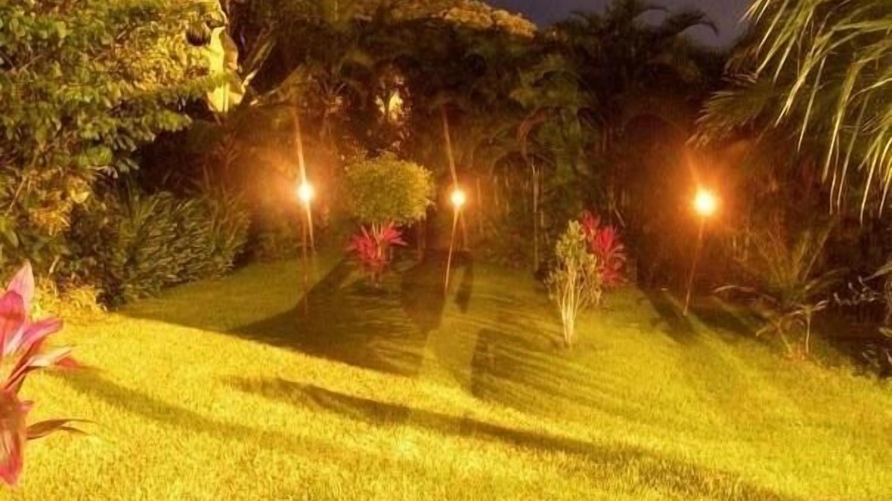 Photo of Outdoor in Guarutuba