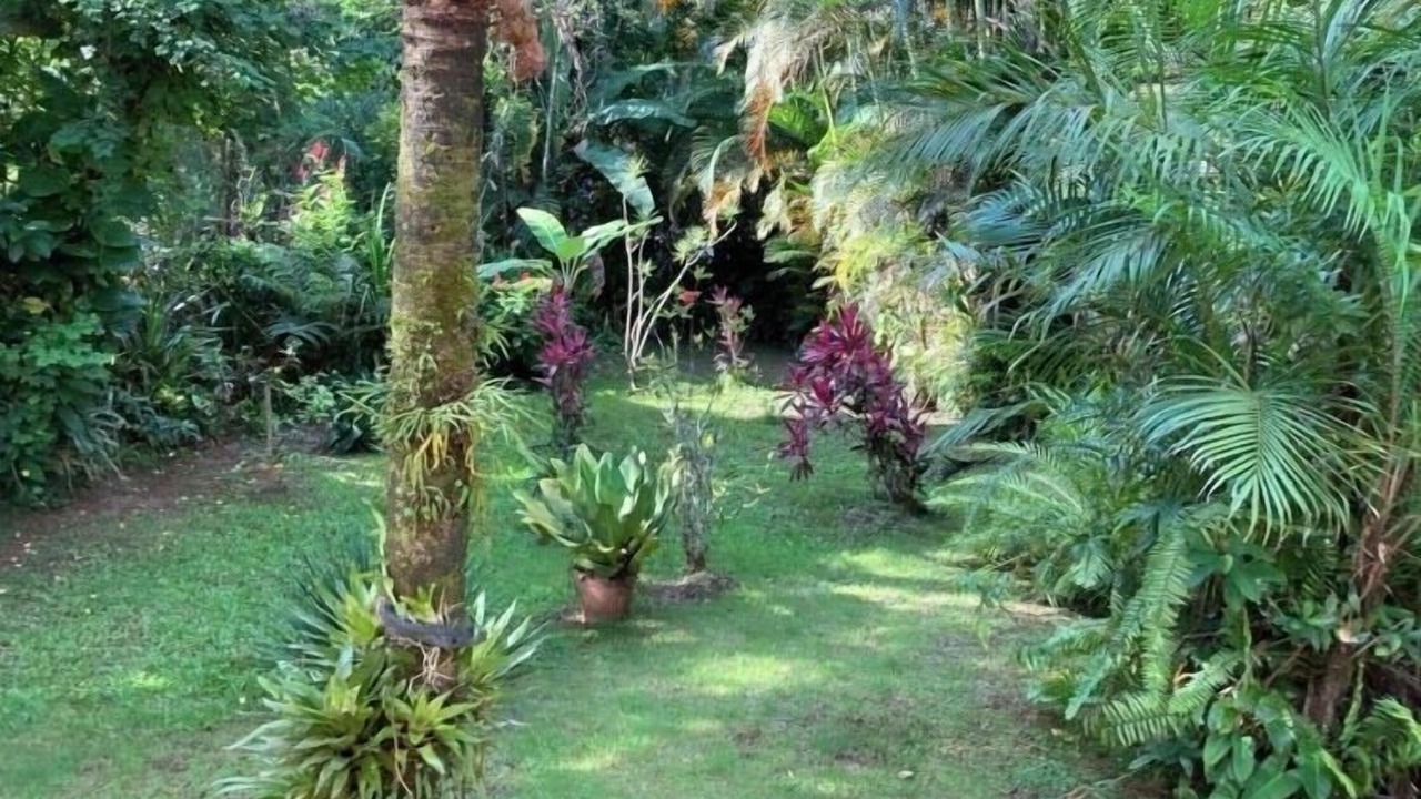 Photo of Outdoor in Guarutuba