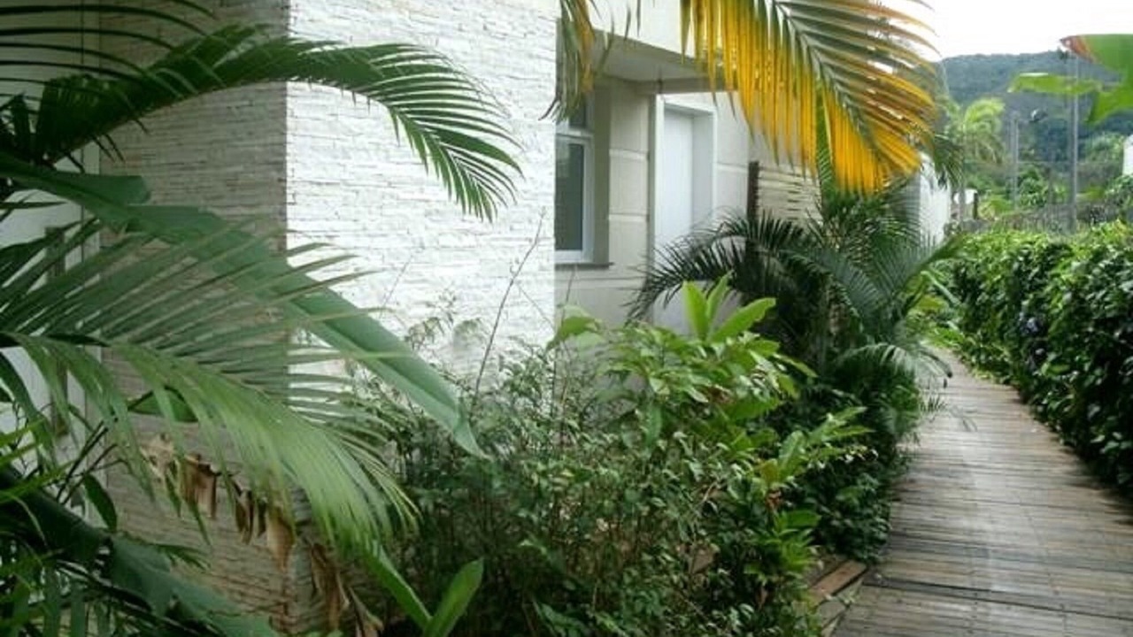 Photo of Outdoor in Sao Sebastiao