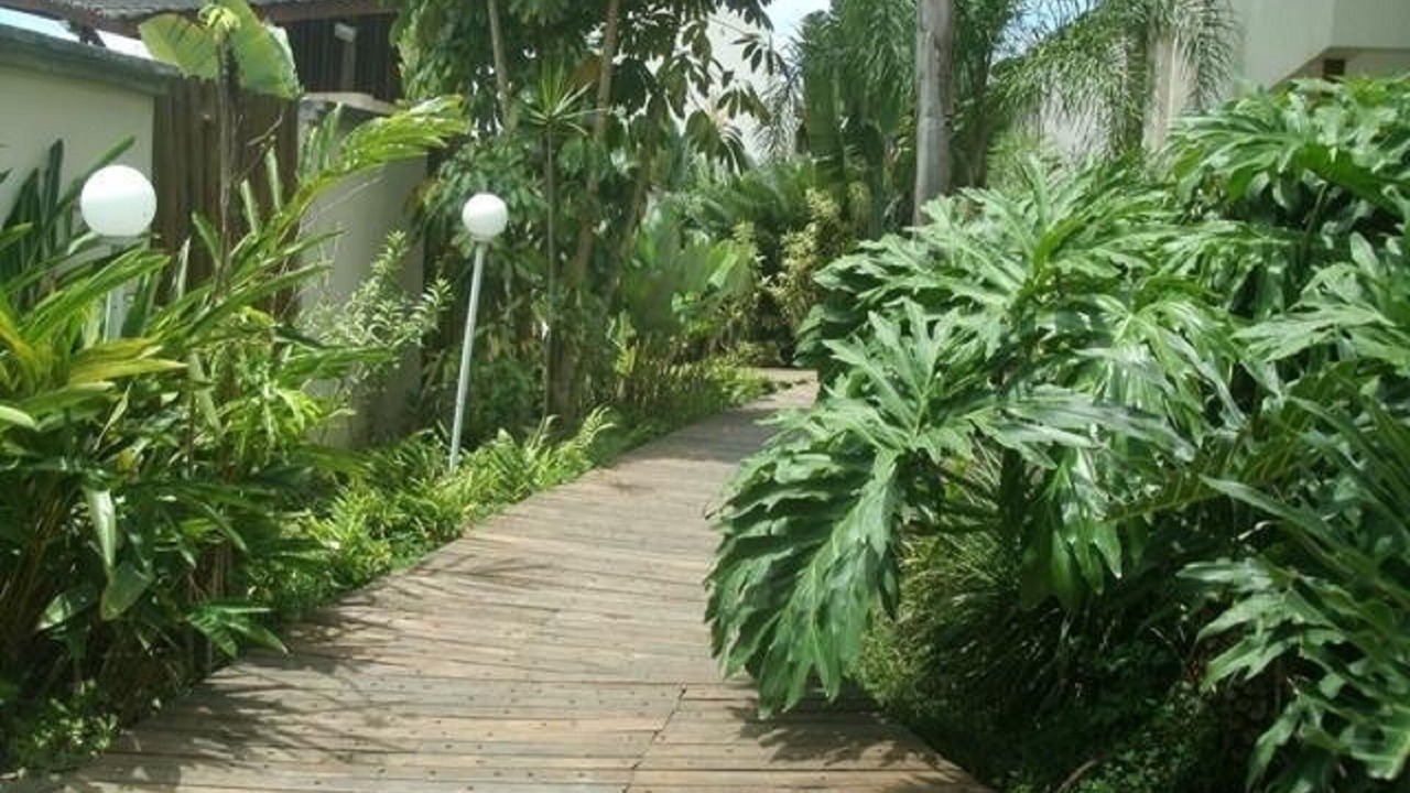 Photo of Outdoor in Sao Sebastiao