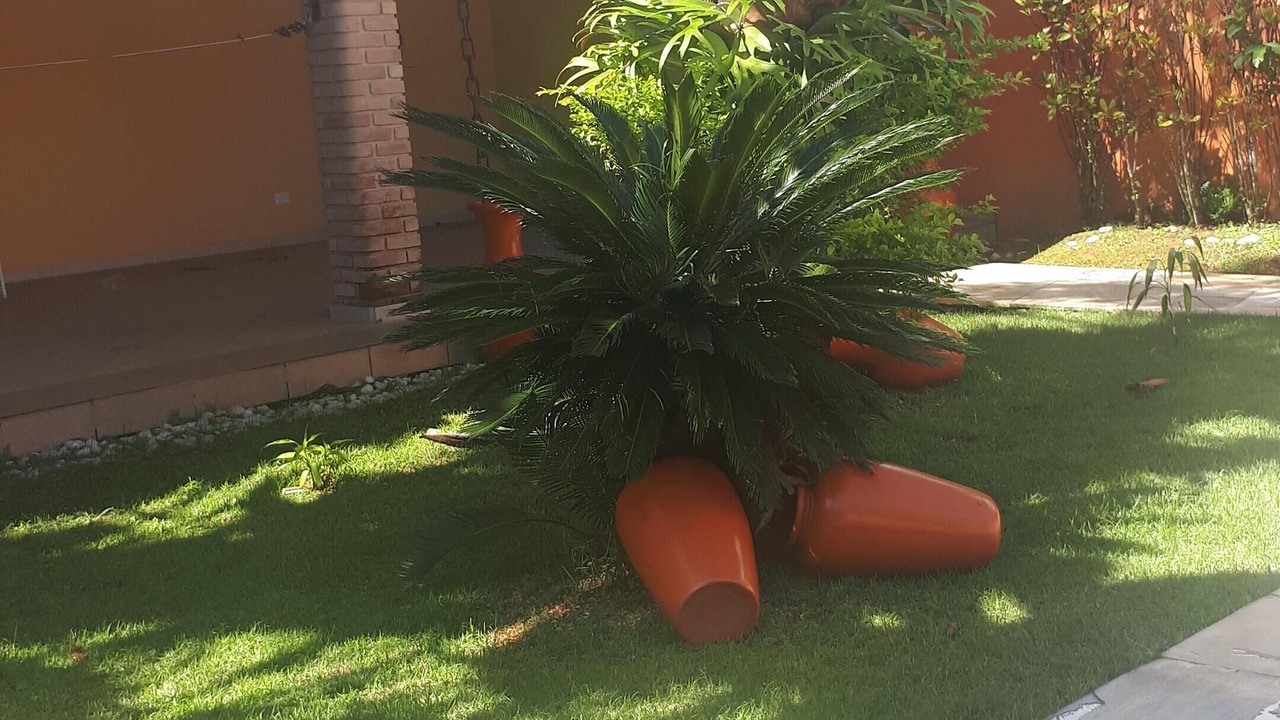 Photo of Outdoor in Morada da Praia