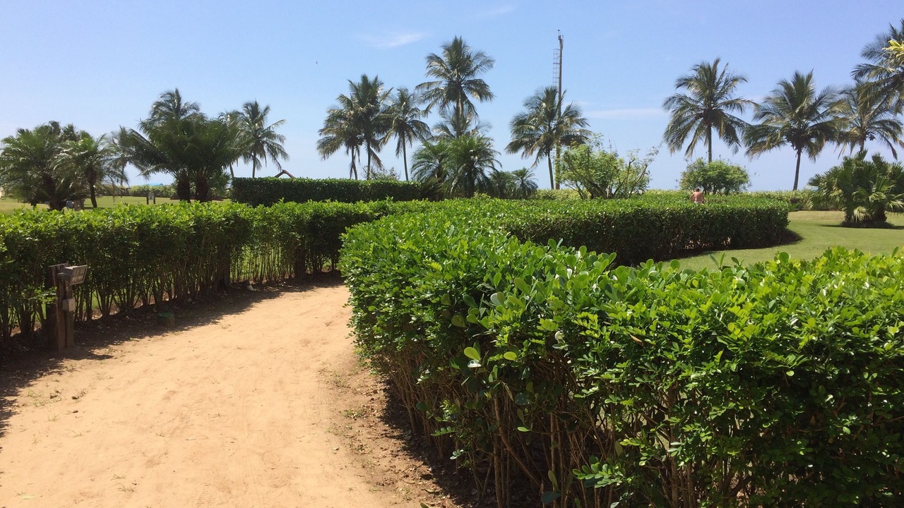 Photo of Outdoor in Riviera de Sao Lourenco