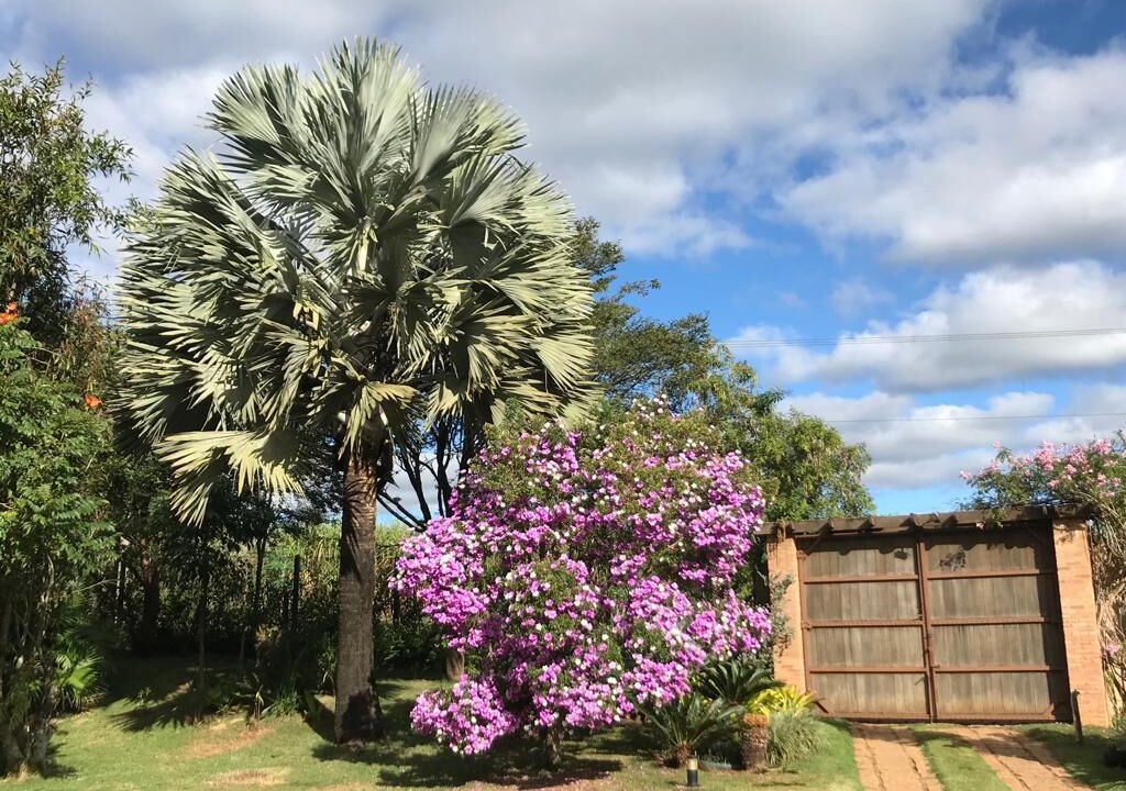 Photo of Outdoor in Boituva