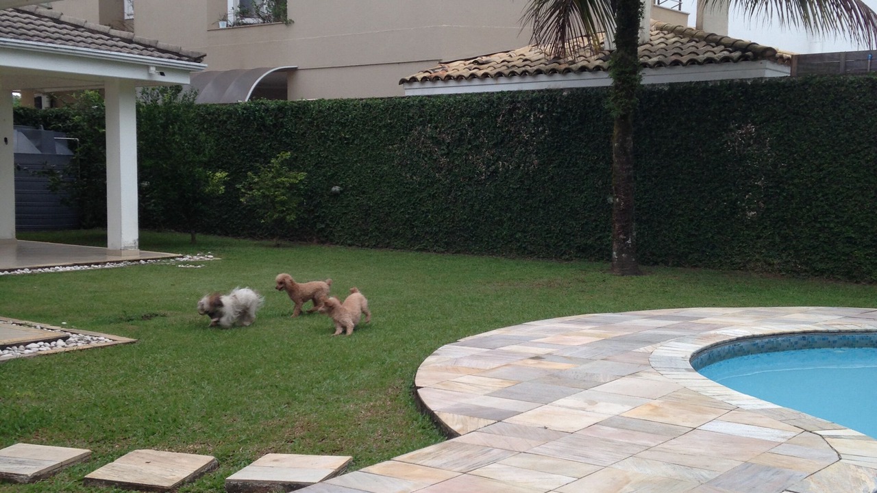 Photo of Outdoor in Jardim Acapulco