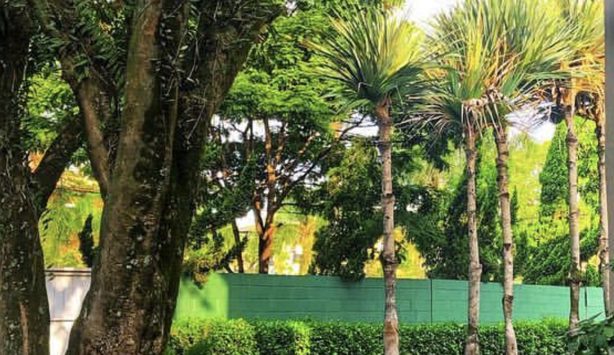Photo of Outdoor in Alto de Pinheiros