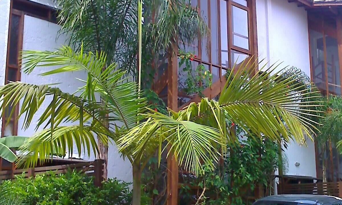 Photo of Outdoor in Juquehy