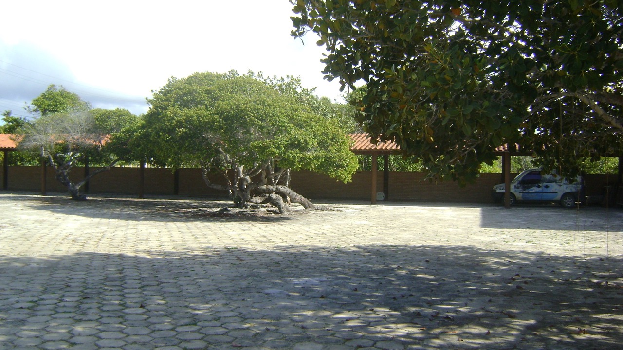 Photo of Others in Prado