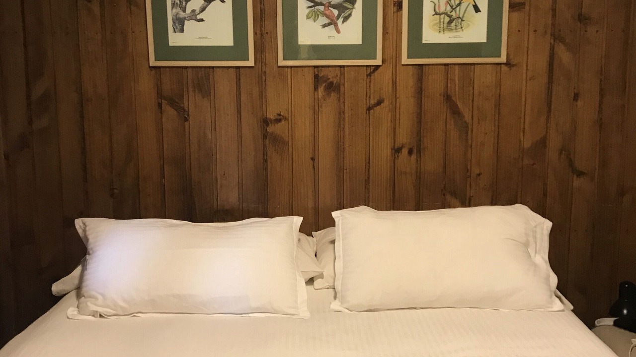 Photo of Bedroom in San Carlos Department