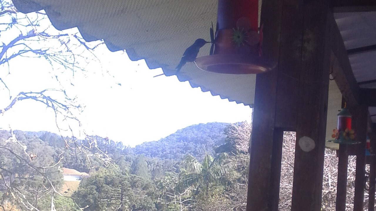 Photo of Outdoor in Miracatu
