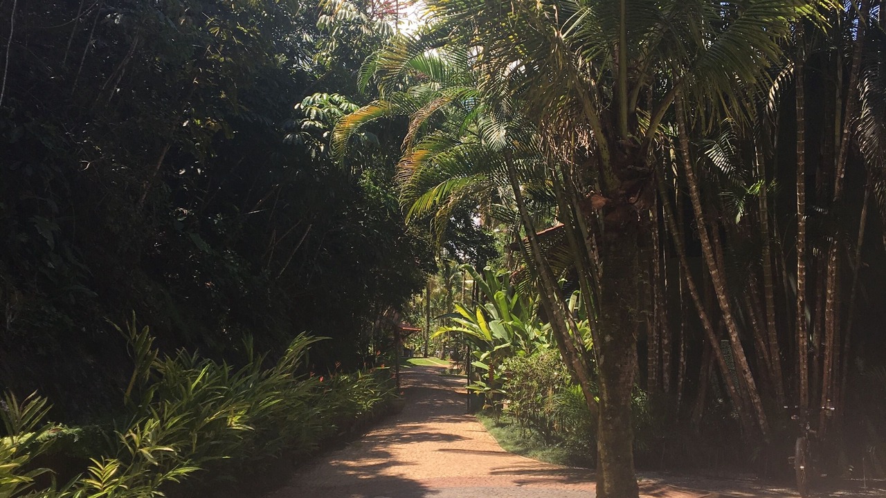 Photo of Outdoor in Barra do Una