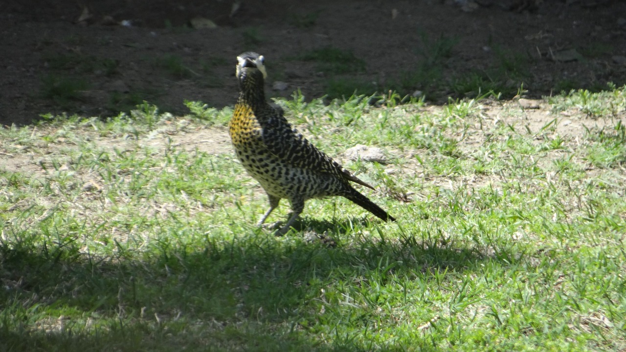 Photo of Others in Cafayate