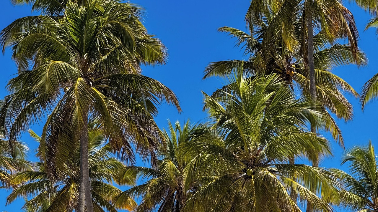 Photo of Others in Praia do Frances