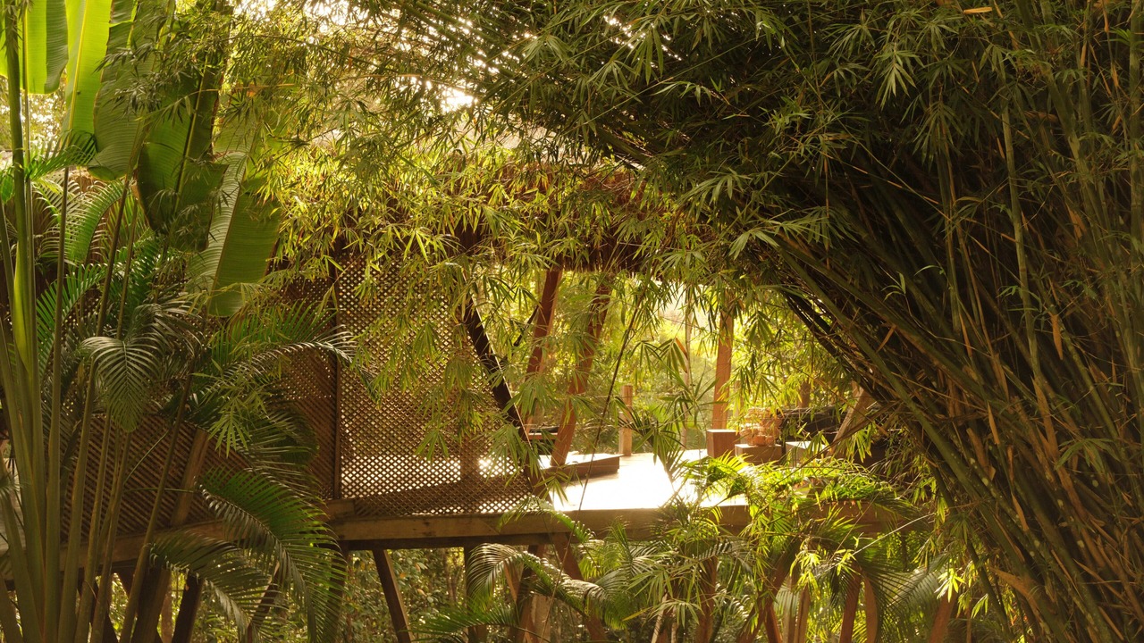 Photo of Outdoor in Itacare