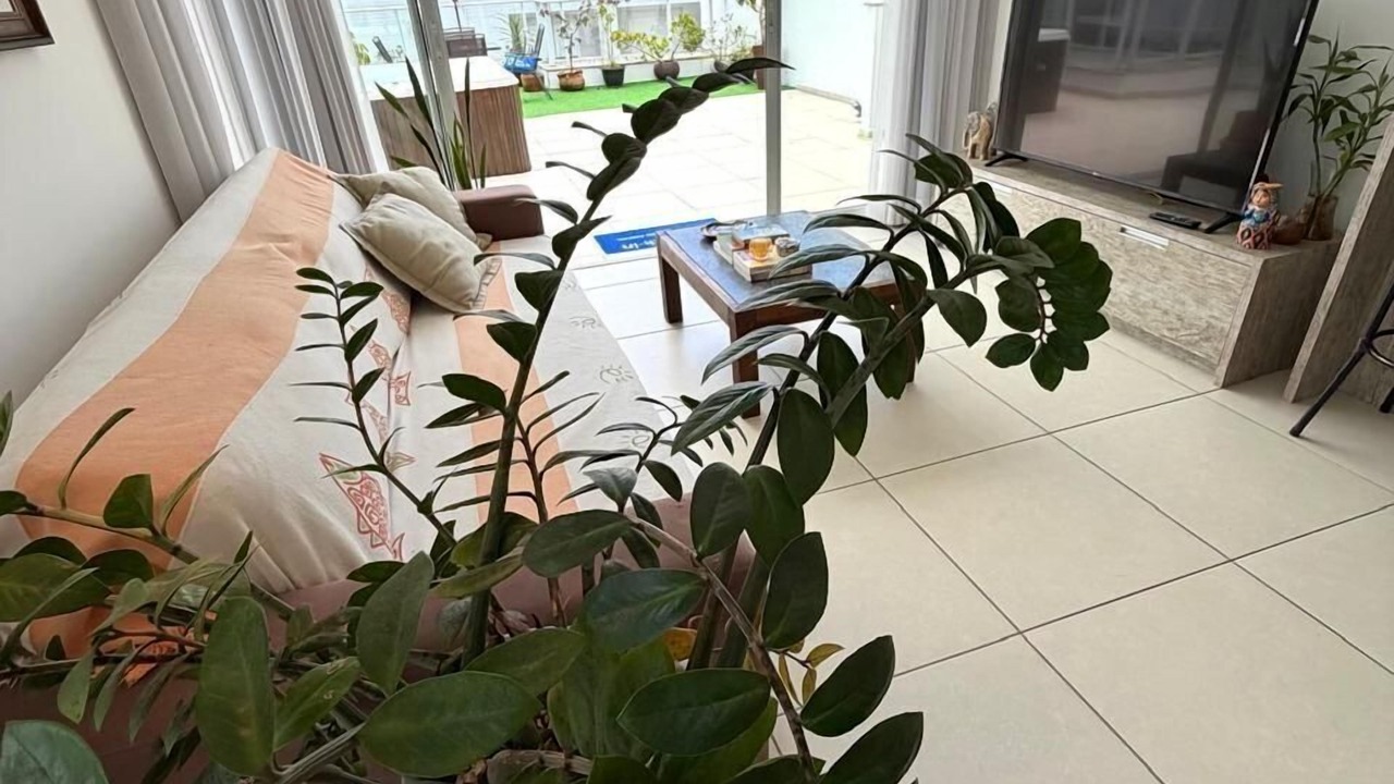 Photo of Livingroom in Lagoa Pequena