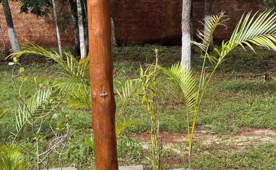 Photo of Outdoor in Pirenopolis