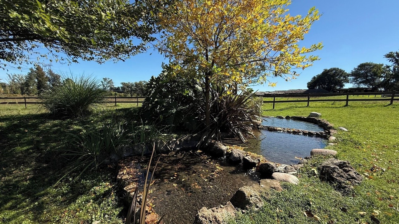 Photo of Outdoor in Fatima