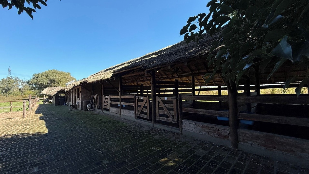 Photo of Outdoor in Fatima