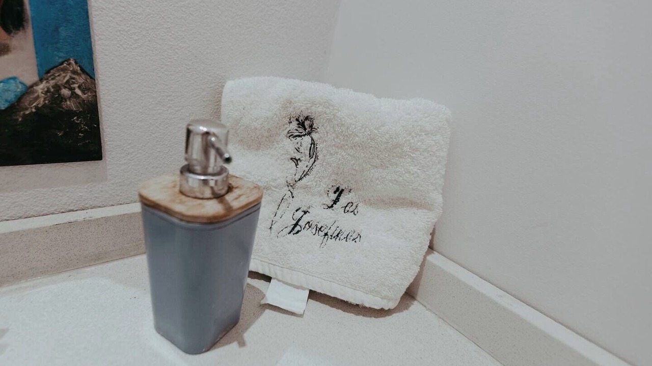 Photo of Bathroom in Malargue