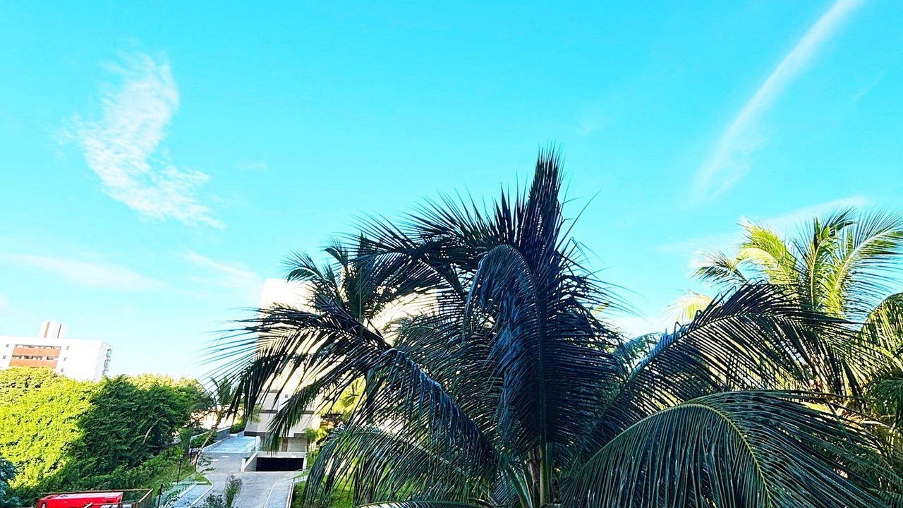 Photo of Outdoor in Ponta de Campina