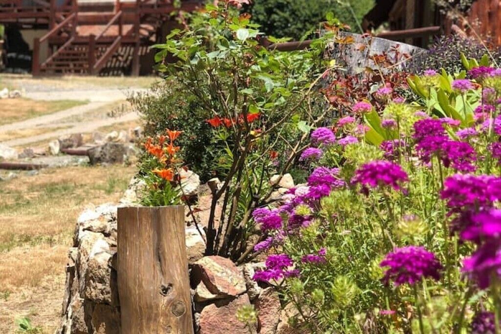 Photo of Outdoor in Villa Los Coihues