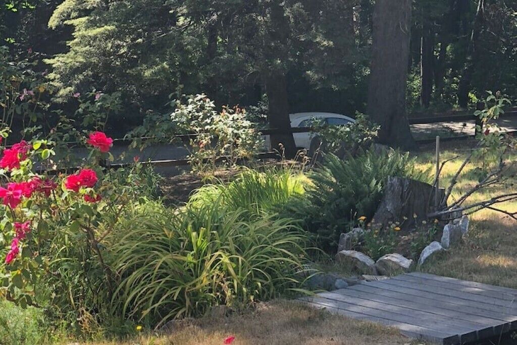 Photo of Outdoor in Villa Los Coihues